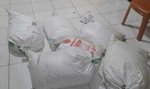 IMG-20260729-WA0008